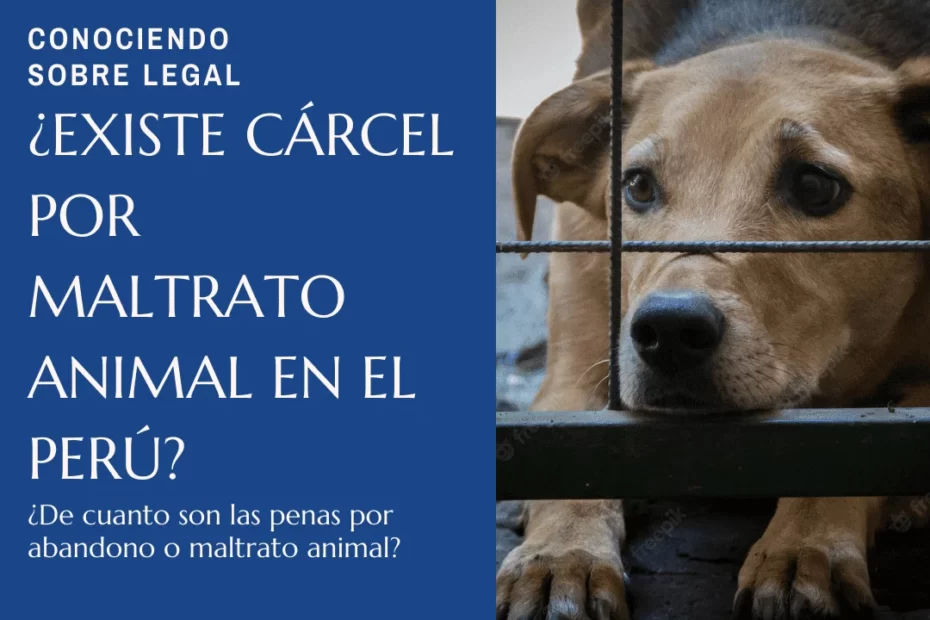 Pena de carcel por maltrato animal