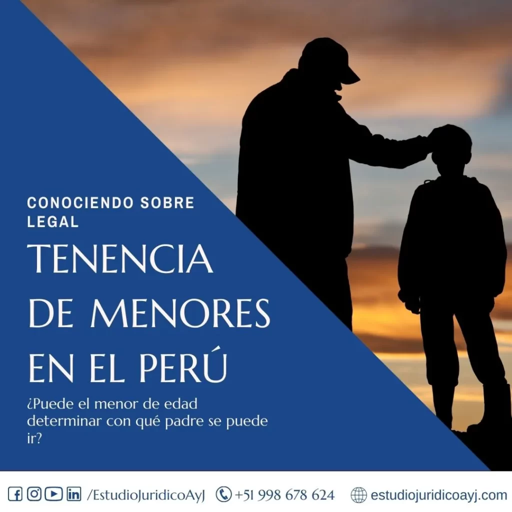 Tenencia de menores en el Perú