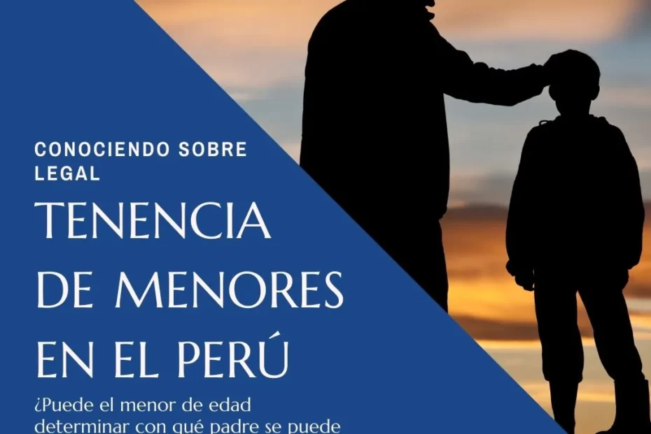 Tenencia de menores en el Perú