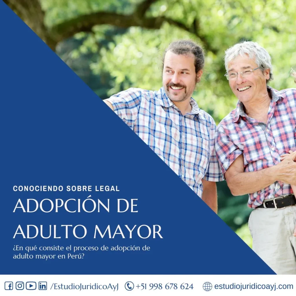 adopcion de mayor de edad